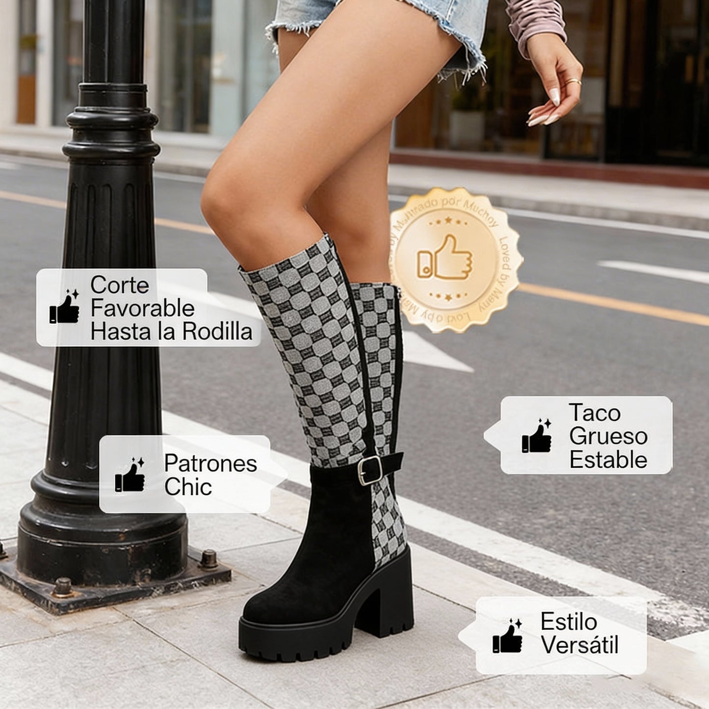 Mónica | Botas Altas hasta la Rodilla para Mujer con Tacón Grueso